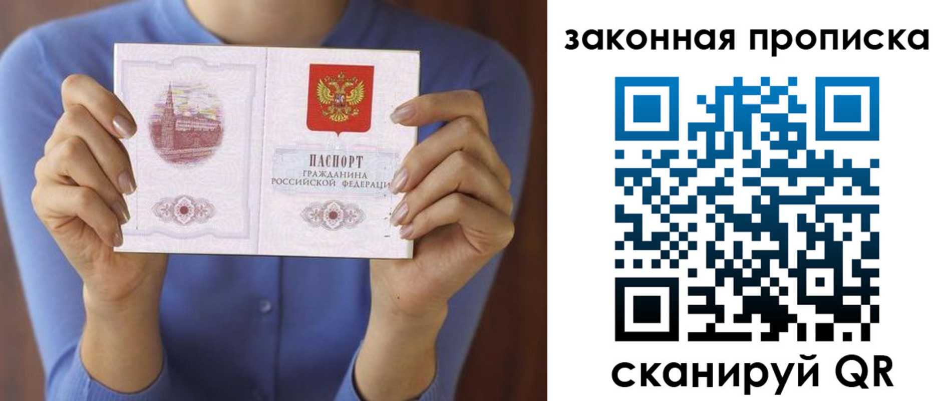 прописка поиск в Невеле